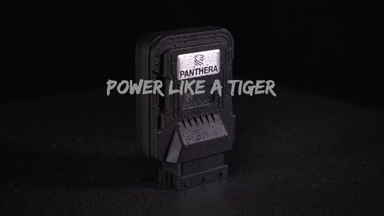 Tigris Chip-Tuning Box POWER LIKE A TIGER | PANTHERA Automotive